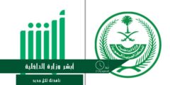 أبشر وزارة الداخلية تنفذ أكثر من مليون عملية تجديد إلكتروني