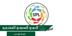 رابطة الدوري السعودي للمحترفين توضح مسؤولياتها بشأن ملاعب آسيا