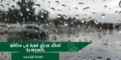 أمطار ورياح قوية في مناطق بالسعودية