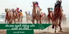 نتائج الفائزين في سباقات الهجن بمهرجان الملك عبدالعزيز
