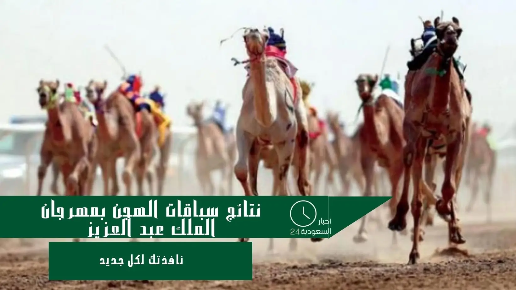 نتائج سباقات الهجن بمهرجان الملك عبد العزيز