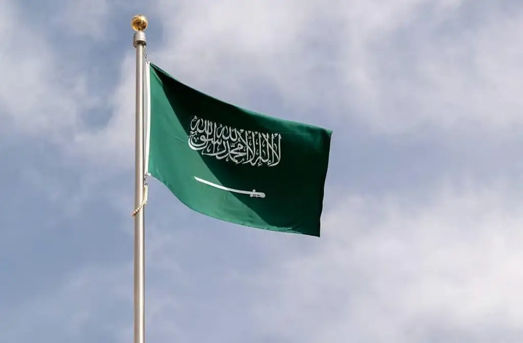 الاستدامة المالية