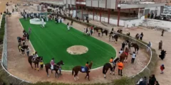 ميدان فروسية الأحساء يُقيم سباقه الـ15 وسط منافسة قوية