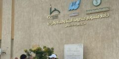 بيئة جدة وخليص تحتفيان باليوم العالمي للمياه بفعاليات توعوية ومبادرات مجتمعية
