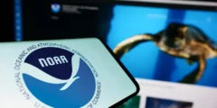 أهمية قواعد بيانات الكوارث المناخية: توقف NOAA يدق ناقوس الخطر