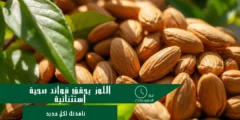 اللوز غذاء صحي غني بالفوائد يعزز النشاط ويحسن الصحة