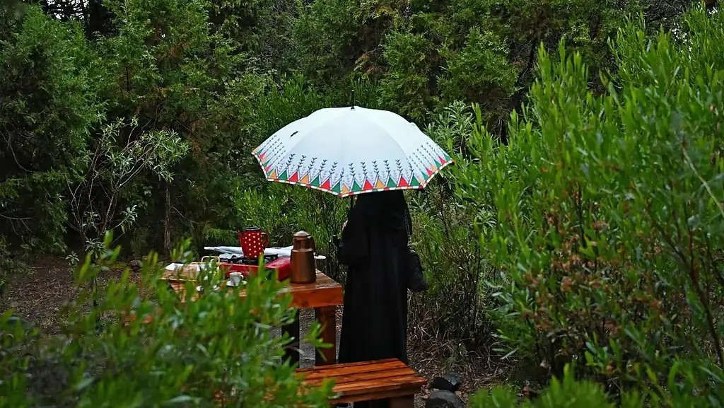 أمطار الجوزاء
