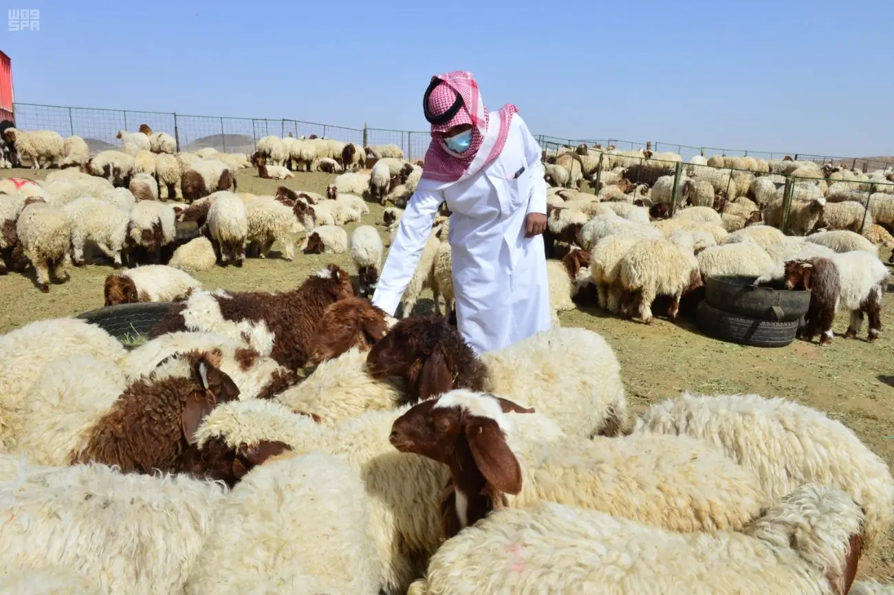 الغطاء النباتي