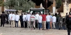 اقتحام المسجد الأقصى: عشرات المستوطنين وسط حماية الاحتلال